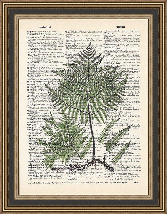 Fern print vintage illustration # 1 print on a vintage dictionary page, Fern Wall Art, Fern Poster, Woodland Art, Botanical Wall Decor,