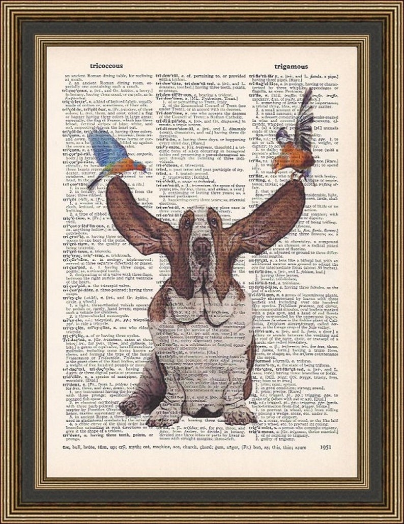 Trigamous Basset Hound Dog With Flying Ears Illustration is Printed on a Vintage ...