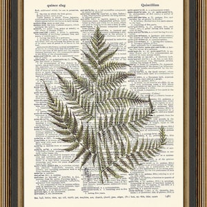Fern leaf print #5 antique illustration printed on a vintage dictionary page. Botanical Poster, Woodland Art Print, Fern Home Decor Art.