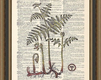 Fern print #7 antique illustration printed on a dictionary page. Kitchen Wall Decor, Gift for gardener,Woodland Art, Botanical Poster.