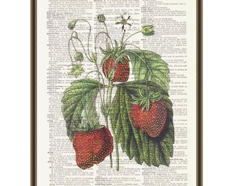 Botanical strawberry print, kitchen poster, dining wall decor, gift for gardener, farmhouse aesthetic, fruit illustration, gallery wall.
