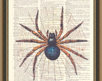 Spider illustration printed on a vintage dictionary page, Halloween poster, spiderweb print, dark academia, insect collector, bug lover