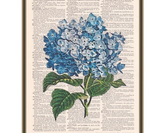 Blue hydrangea print, vintage botanical art, gift for gardener, flower poster, garden wall art, gift for Mom, floral watercolor home decor.