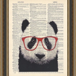 Cute panda bear wearing red glasses illustration. Book Art Gift, Wildlife Poster, Kid&#39;s wall decor, Animal dictionary art print, Nature art.