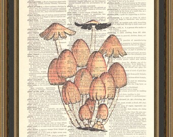 Vintage mushrooms illustration, cottagecore decor, botanical poster, toadstool wall art, fungi drawing.
