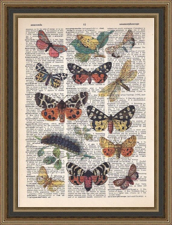 Butterflies antique illustration # 1  printed on a vintage upcycled dictionary page. Art Print, Wall Decor, Home Decor