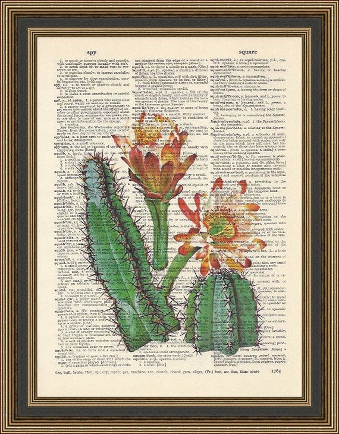 Cactus Botanical Illustration Printed on a Vintage Dictionary Page