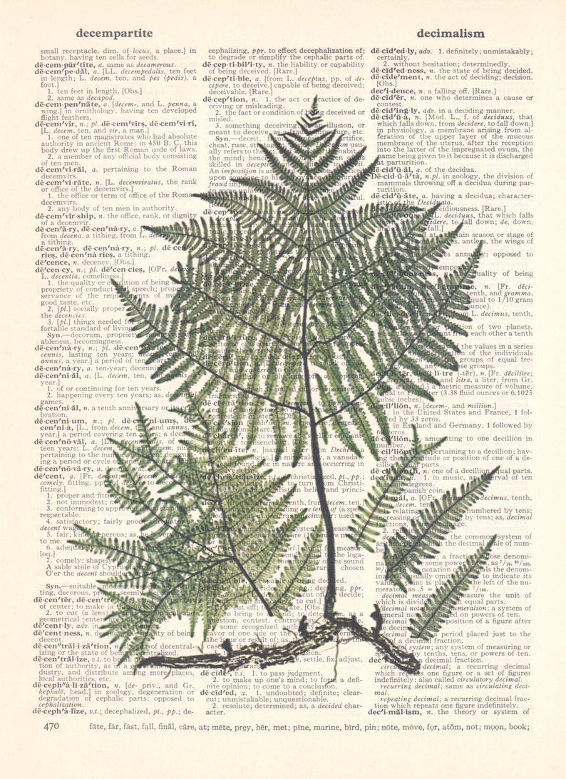 Fern print vintage illustration # 1 print on a vintage dictionary page, Fern Wall Art, Fern Poster, Woodland Art, Botanical Wall Decor, 画像 2