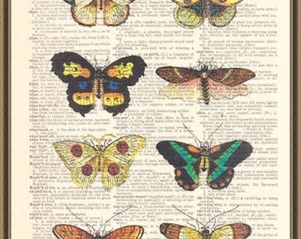 Vintage butterflies and moths print, nature lover gift, entomologist poster, dictionary page art, mother's day gift, colorful insect art.