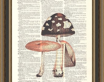 Retro mushroom print, dictionary art, botanical fungi, rural life poster, cottagecore decor, woodland wall art.