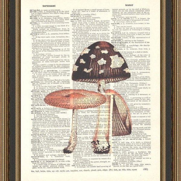 Retro mushroom print, dictionary art, botanical fungi, rural life poster, cottagecore decor, woodland wall art.
