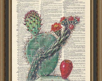 Cactus illustration printed on a vintage dictionary page. Succulent Poster, Antique Botanical Print, Tribal Art, Desert Art Print.