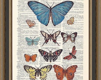 Butterfly print, botanical antique art, natural history poster, vintage butterflies, nature lover gift, kitchen wall decor, butterfly chart