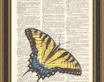 Swallowtail butterfly vintage illustration printed on a dictionary page, insect poster, entomologist gift, bug collector print.