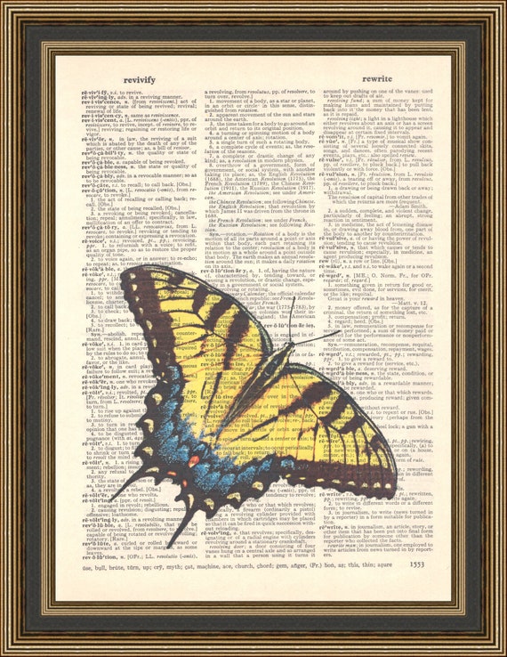 版画 SWALLOWTAIL BUTTERFLY Giant Swallowtail Butterfly - Signed Fine Art Print