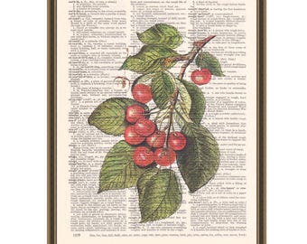 Vintage cherries print, botanical cherry illustration, dictionary art, kitchen wall decor, gift for foodie, fruit poster.