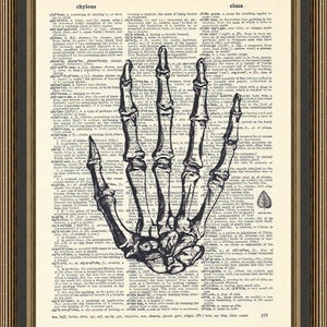 Skeleton hand vintage illustration printed on a dictionary page, Human Anatomy Print, Medical Student Poster, Dorm Decor, Gothic Wall Print.