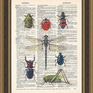 May include: A vintage dictionary page with illustrations of various insects, including a green beetle, a red ladybug, a dragonfly, a green grasshopper, and a blue beetle. The page is from a dictionary and includes the words "greedygut" and "greenroom".