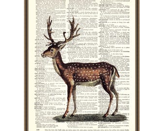 Vintage deer print, farmhouse decoration, woodland animal sketch, hunting season, antler art poster, gift for huntsman, cabin wall decor.