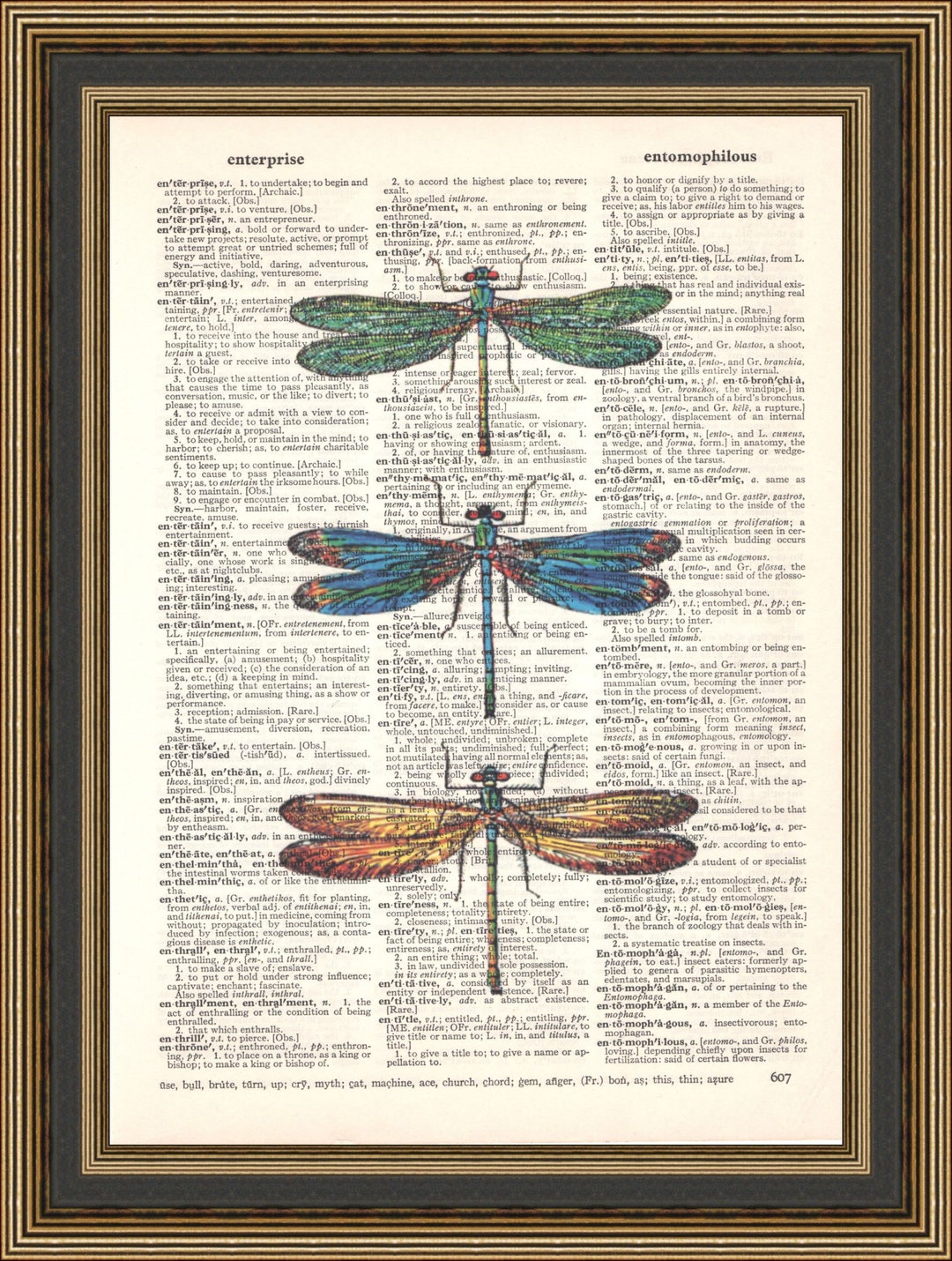 Vintage Dragonflies Illustration Printed on a Dictionary Page, Insect ...