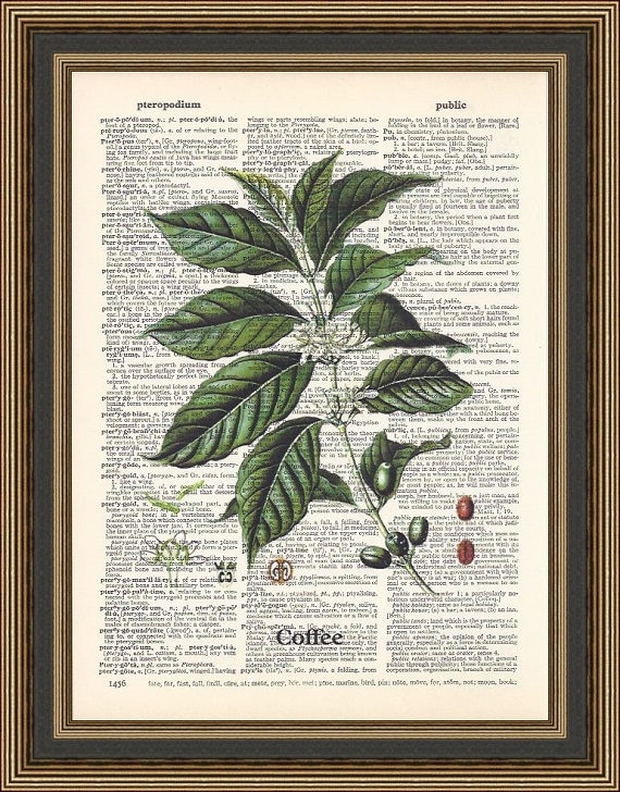 Coffee plant print. Botanical coffee illustration, Kitchen Home Decor,  Coffee drinker gift, Coffee House Poster, Farm house kitchen Print.