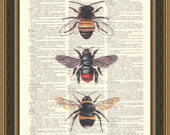 Vintage bees illustration printed on a dictionary page, insect poster, honey bees print, farmhouse decor.