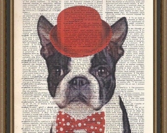 Dapper boston terrier dressed in red bowler hat and spotted red bowtie illustration on vintage dictionary page. Art Print, Wall Decor.