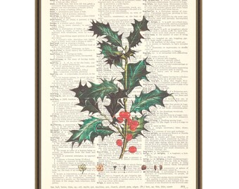 Christmas holly and red berries print, vintage botanical illustration, winter wall decor, holiday poster, dictionary art, festive gift idea.