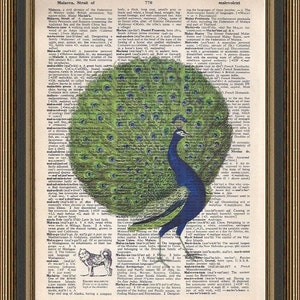 Beautiful Peacocks on Real Antique Dictionary Book Pages, Wall Decor  Picture