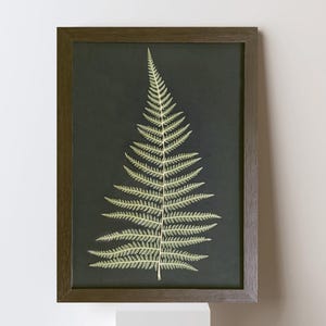 Puede incluir: Una pieza de arte mural rectangular que presenta la ilustración de una sola hoja de helecho de color verde claro centrada sobre un fondo gris carbón oscuro, encerrada en un marco de madera marrón oscuro con textura veteada.