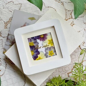 White Framed Pressed Flower Art Mini Botanical Specimen Unique Best Wishes Graduation Gift