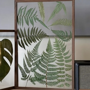 Floating Frame Pressed Fern Leaf Art Minimalist Botanical Wall Decor Unique Housewarming Gift
