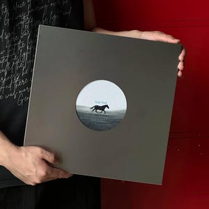 Puede incluir: Una funda de disco cuadrada de color gris oscuro con un recorte circular en el centro. A través del recorte, una imagen en blanco y negro muestra un caballo corriendo por un campo con el texto "Run Wild" en letras azules.