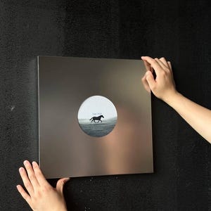 Puede incluir: Una placa de pared cuadrada, metálica y reflectante, con un recorte circular en el centro. Dentro de la abertura circular hay una imagen en blanco y negro de un caballo corriendo por un campo con el texto "Run Wild" impreso sobre el caballo.