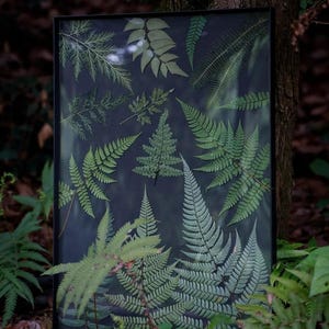 Black Framed Pressed Fern Leaf Art Moody Botanical Wall Decor Unique Anniversary Gift