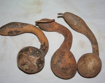 Three mini dipper gourds, uncleaned
