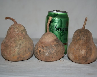 3 Trinket box gourds uncleaned set #5