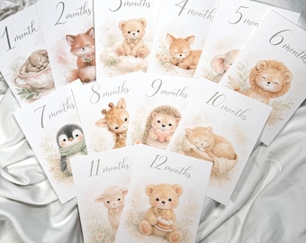 Tarjetas de hitos del bebé / Animales de acuarela, accesorios para fotos mensuales