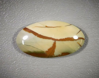 Owyhee Jasper Cabochon 40-6759