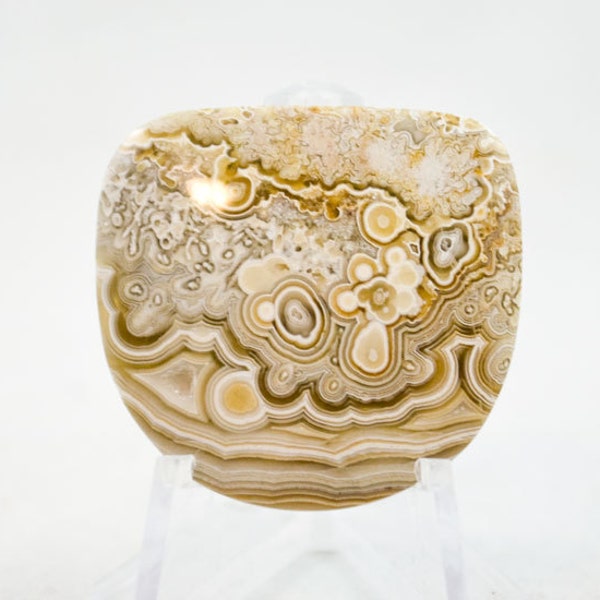 Crazy Lace Agate Cabochon cab1138