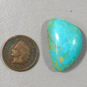 Arizona Turquoise Cabochon 40-7184 image 3