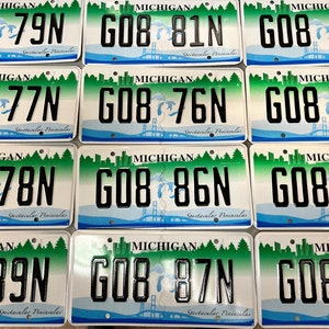 Michigan SPECTACULAR PENINSULAS License Plate New 1 Plate