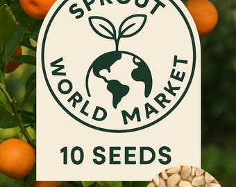 May include: Image of a citrus tree with ripe orange fruit and green leaves. A circular label reads "SPROUT WORLD MARKET" with a globe and sprout graphic. The label also states "10 SEEDS". A close-up of seeds is in the lower right.