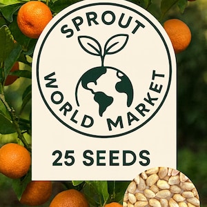 25 Mandarin Orange Seeds | Fast Growing Citrus Tree | Easy to Grow | Indoor/Outdoor | USA Seller