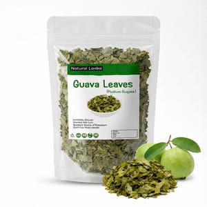 100 % ekologiska torkade guavablad – naturliga örtteblad från Psidium Guajava | Snittet och skiftat | Ayurvedisk hälsoört