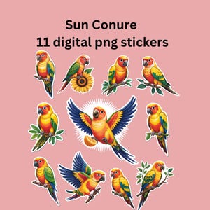 Sun Conure Stickers: 12 Tropical Parrot PNGs (Digital Download