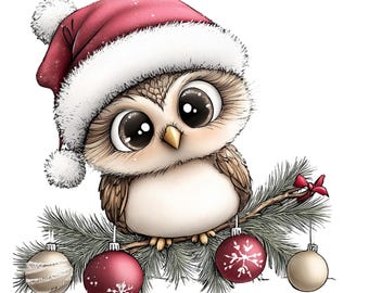Christmas Owl Clipart, Santa Hat, Whimsical PNG Bundle (Digital Download)