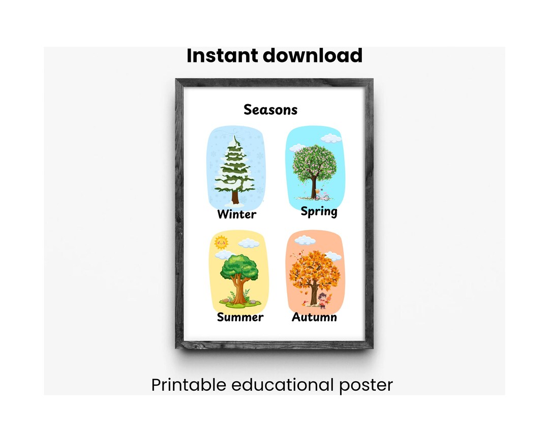 Seasons Educational Poster: Spring, Summer, Fall, Winter - Classroom ...