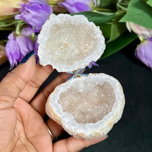 May include: Two geode halves, showcasing a crystalline interior within a beige and white exterior. The geode is held in a hand, with purple flowers in the background. The geode's interior sparkles, suggesting a natural crystal formation.