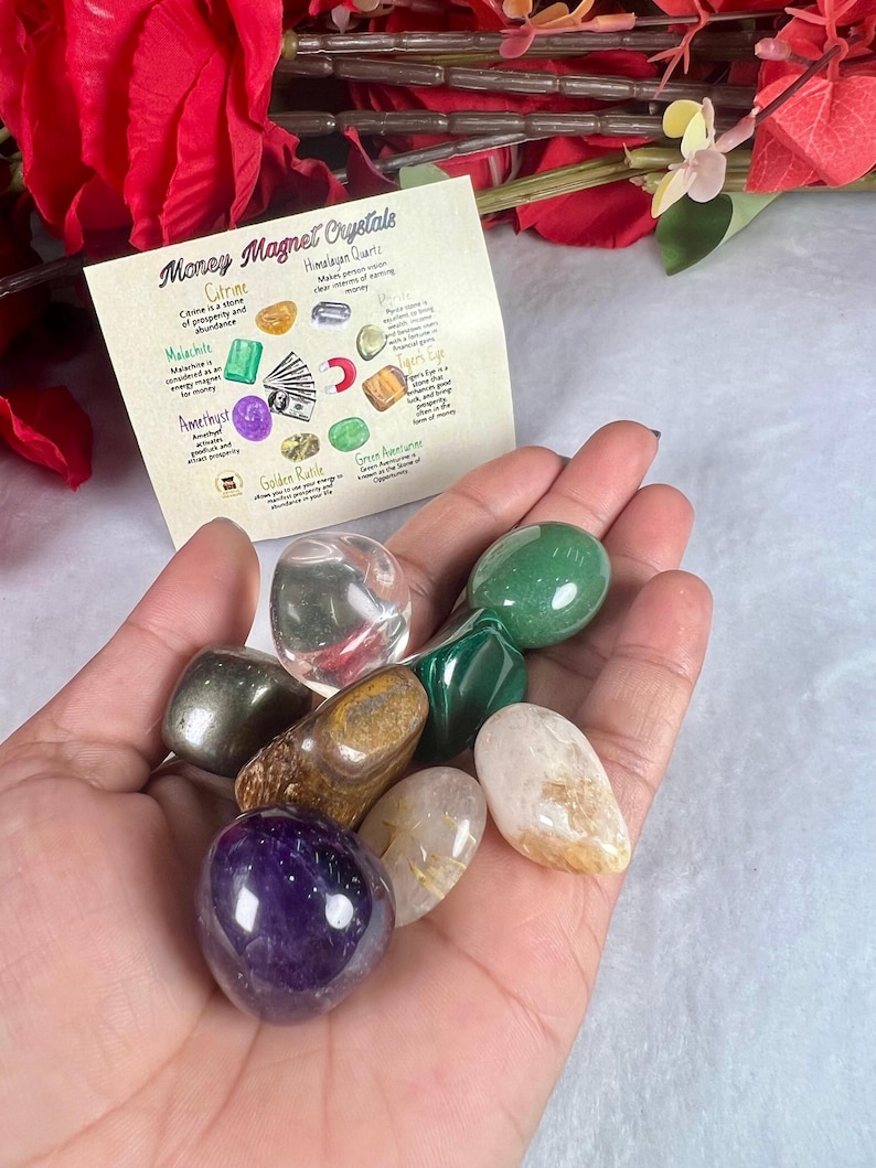 May include: A hand holds a collection of polished crystals, including amethyst, citrine, and malachite, with a card labeled "Money Magnet Crystals." The card lists crystal properties. Red flowers are in the background.